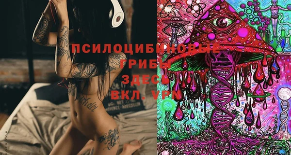 героин Абаза