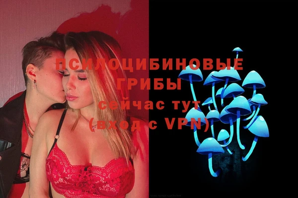 стаф Баксан
