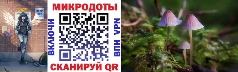 наркотики  Барыш  Псилоцибиновые грибы ЛСД 